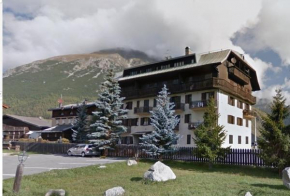 White Edelweiss Livigno